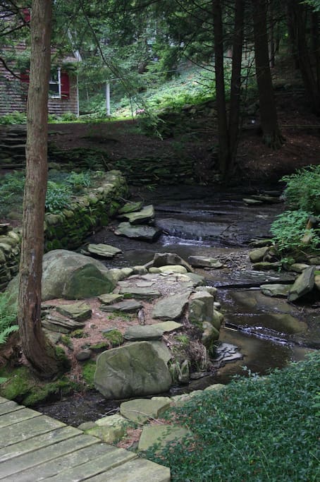 The creek in summer.