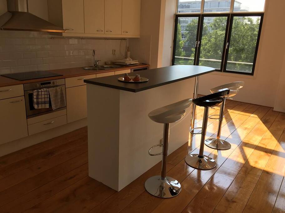 Burg. de Monchyplein - kitchen corner/island in the living room