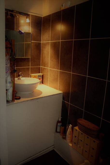 Salle de bain-douche-WC
