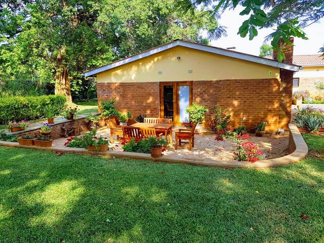 Kino's Garden