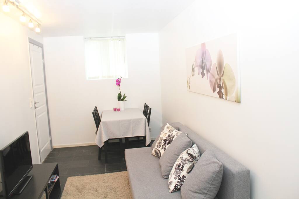 Living area with a sofa, TV and dining table.