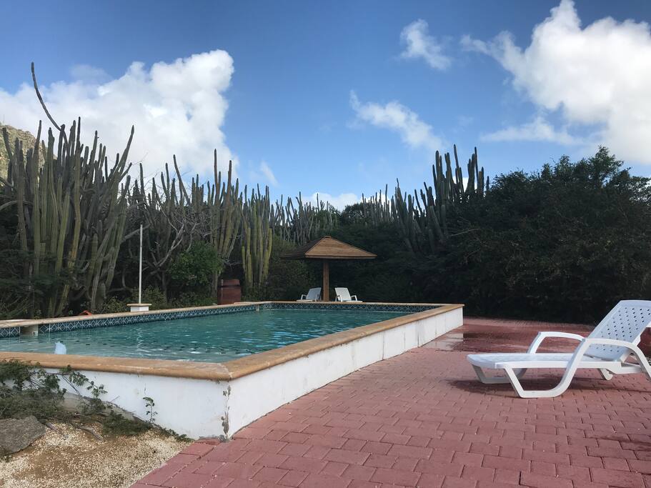 pool