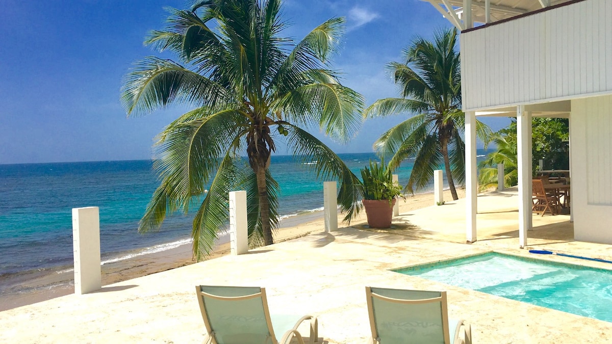 The image captures a beachfront scene featuring a sparkling pool surrounded by palm trees. Lush blue waters stretch into the horizon, with a light sandy area leading to the sea. A shaded seating area offers a comfortable space to relax and enjoy the views.