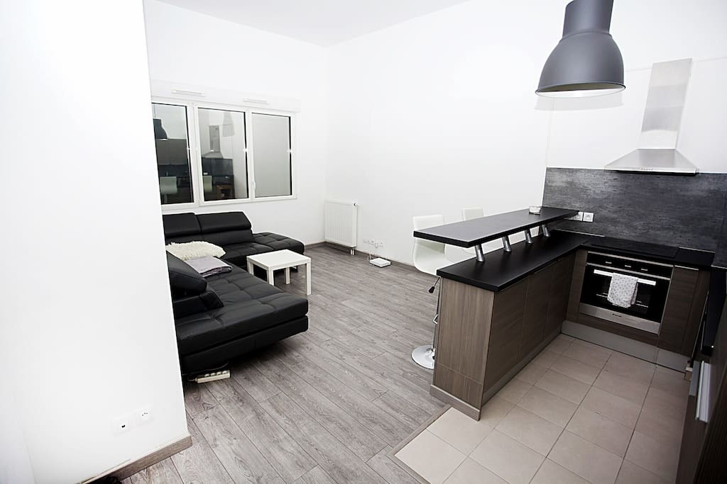 Cuisine ouverte 22,33 m²