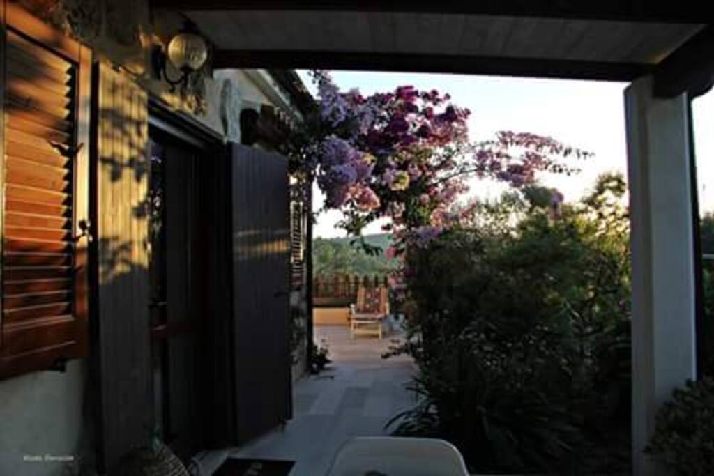 Ingresso