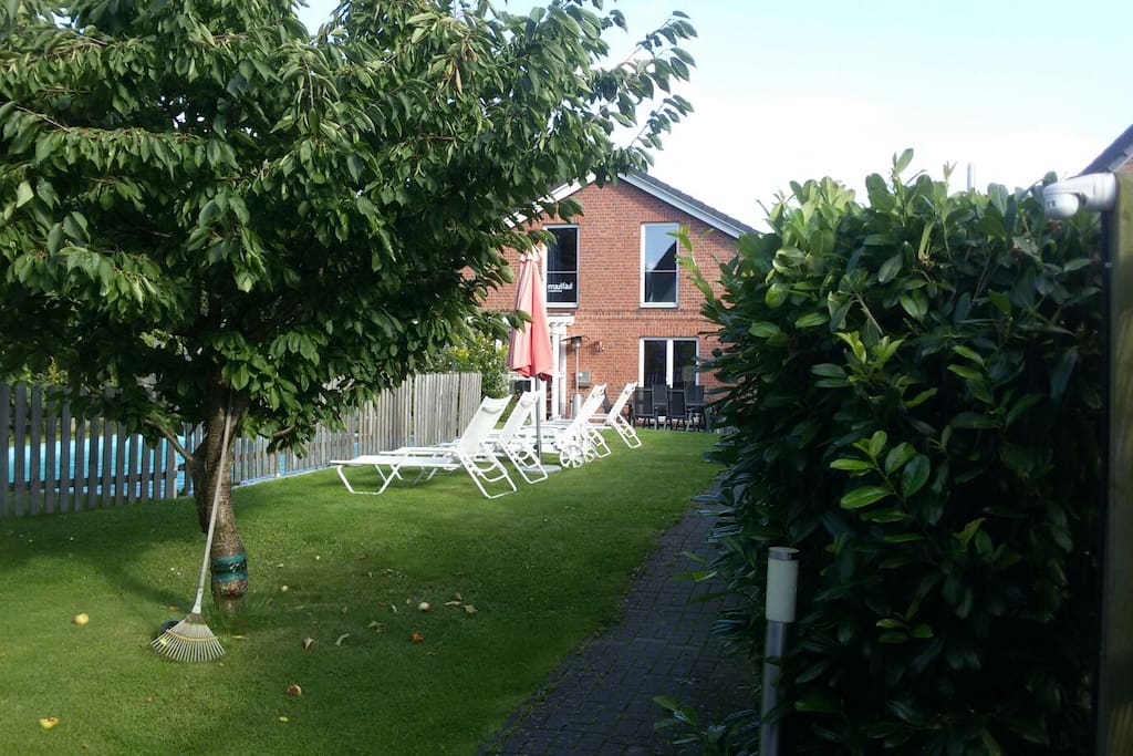 Vorderer Garten und Weg zum Haus.