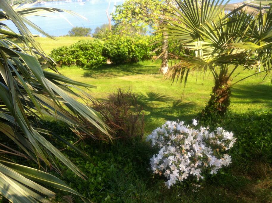 Maison vue mer sur terrain 5000 m2 Aber Benoit - Prat Ar Coum