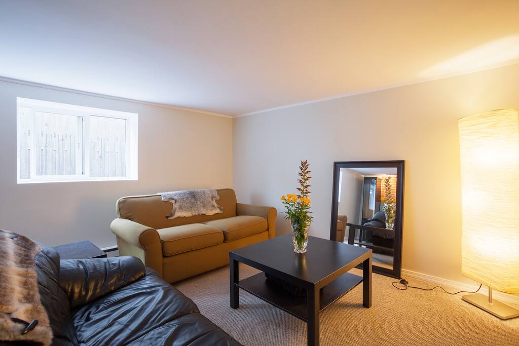 Living room with 2 love seats. We have added a new memory foam queen bed with a room divider (photos coming soon).