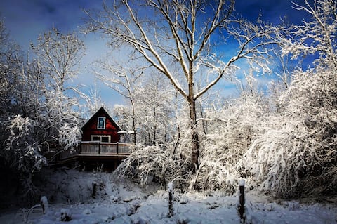 Ann Arbor Tiny House