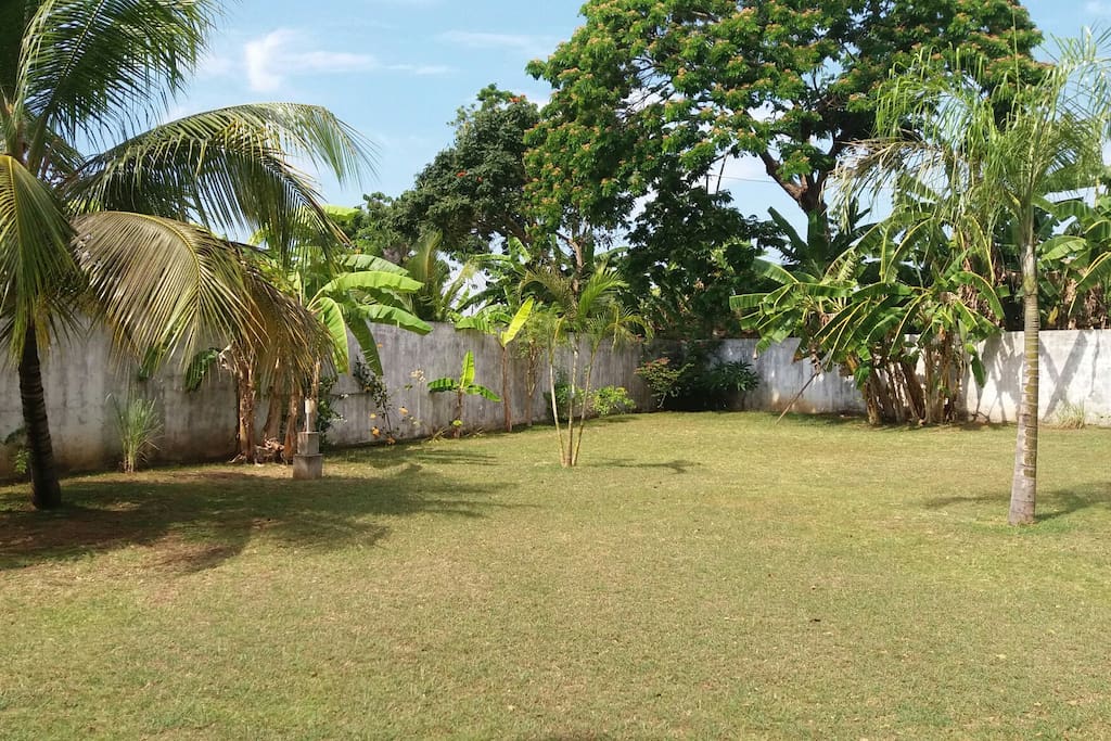 Jardin côté chambre