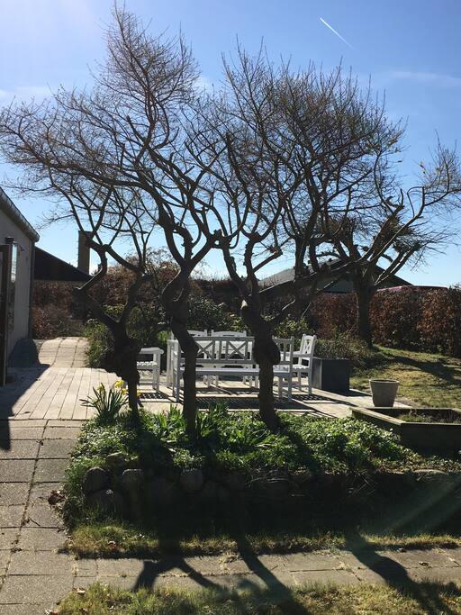 Garden with wooden terasse