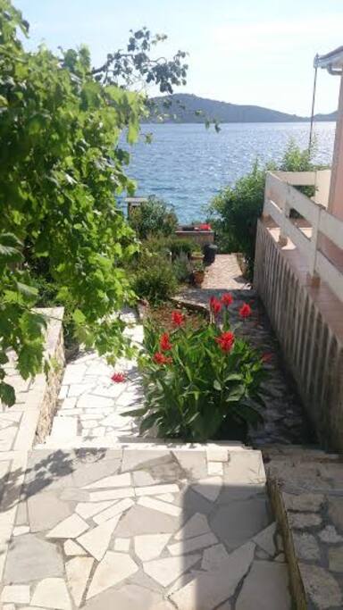 pogled, put