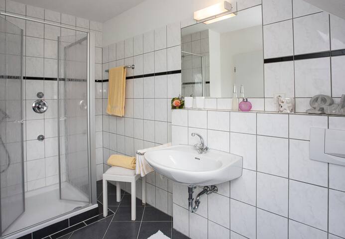 Pension Haus Brieden Winterberg Altastenberg Standard