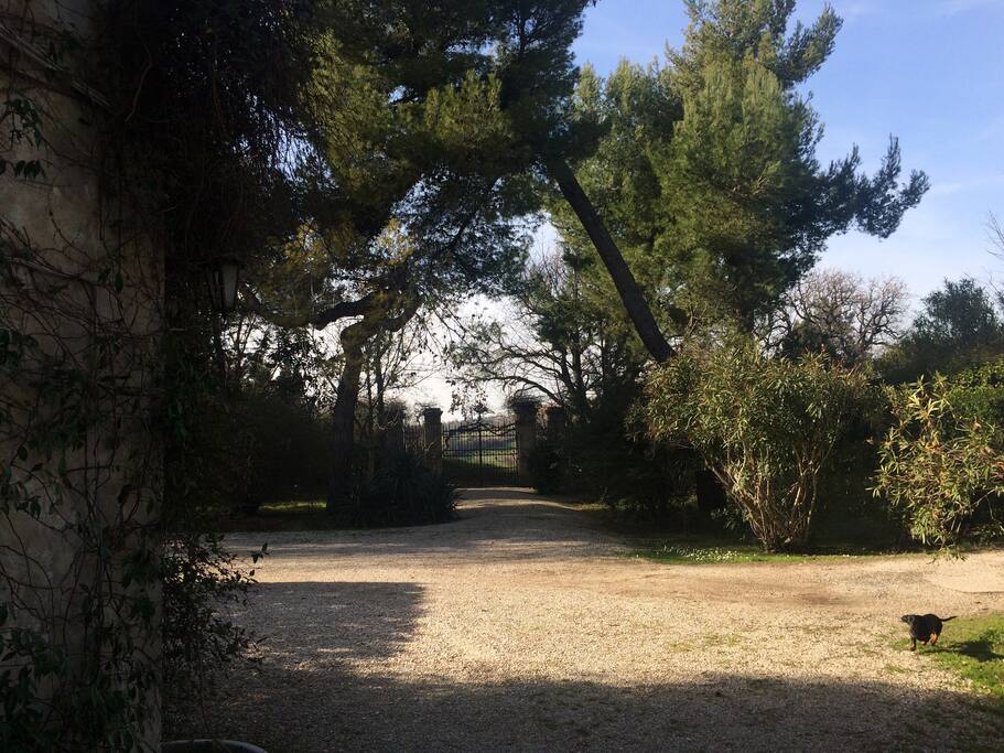 Vechio cancello