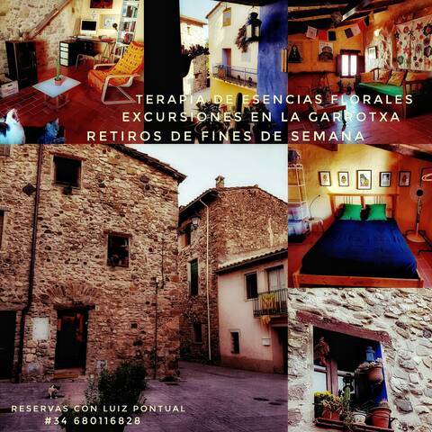 Get Sota les decoracions de la paret de mar Desktop Wallpaper Free Sota Les Decoracions De La Paret De Mar