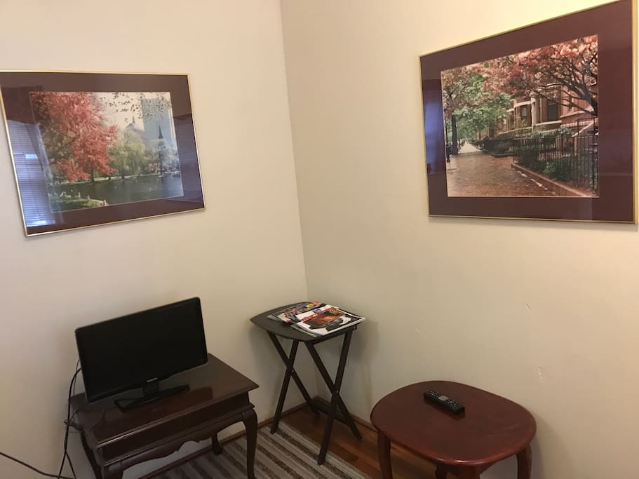 Living room area with small tv