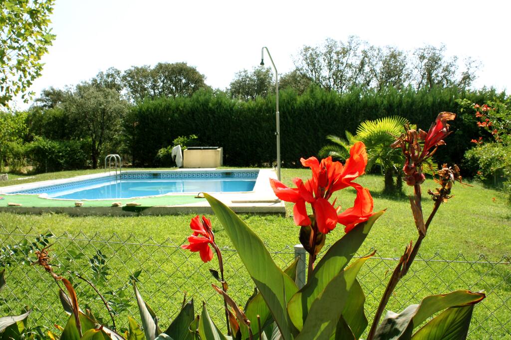 piscina y jardin