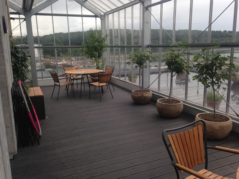 Drivhus på tagterrasse, green house on roof terrace
