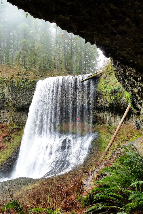 Показать полноэкранное фото от хозяина