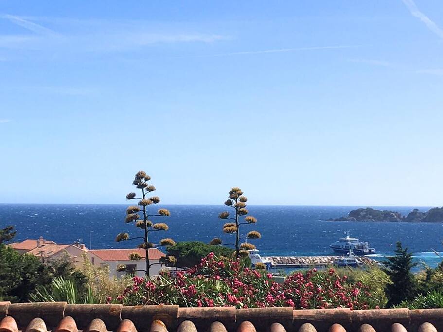 Vue de la terrasse