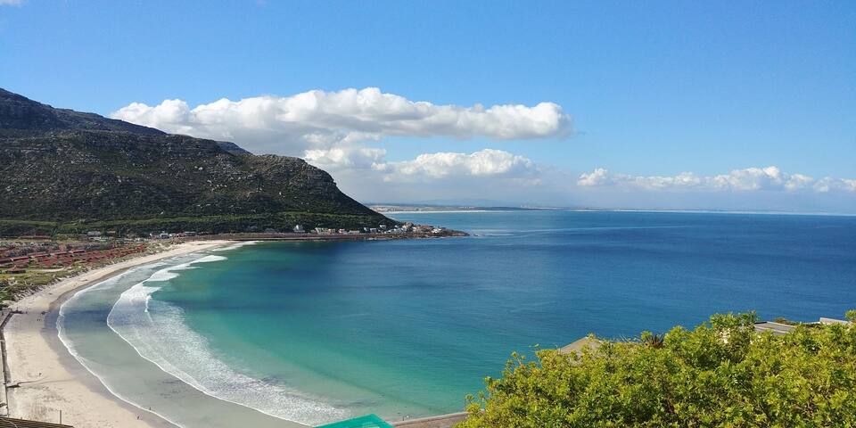 Surfwatch gallery image 3