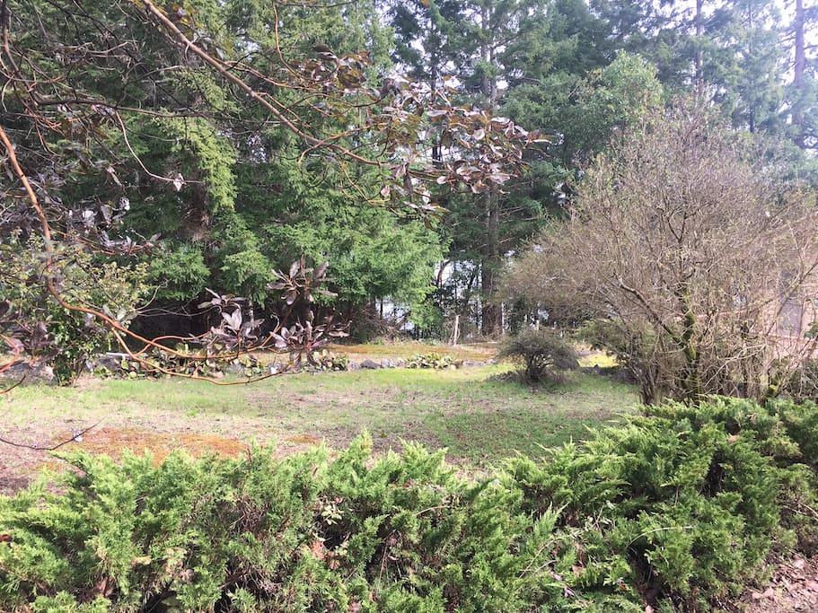 Ample yard space for lawn games, bocce, corn hole, tents, naps on a blanket, a camper or modest RV is a possibility.