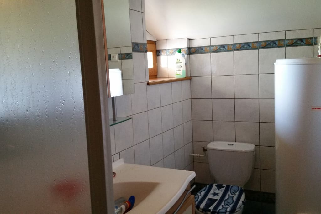 La salle de bain avec une douche.