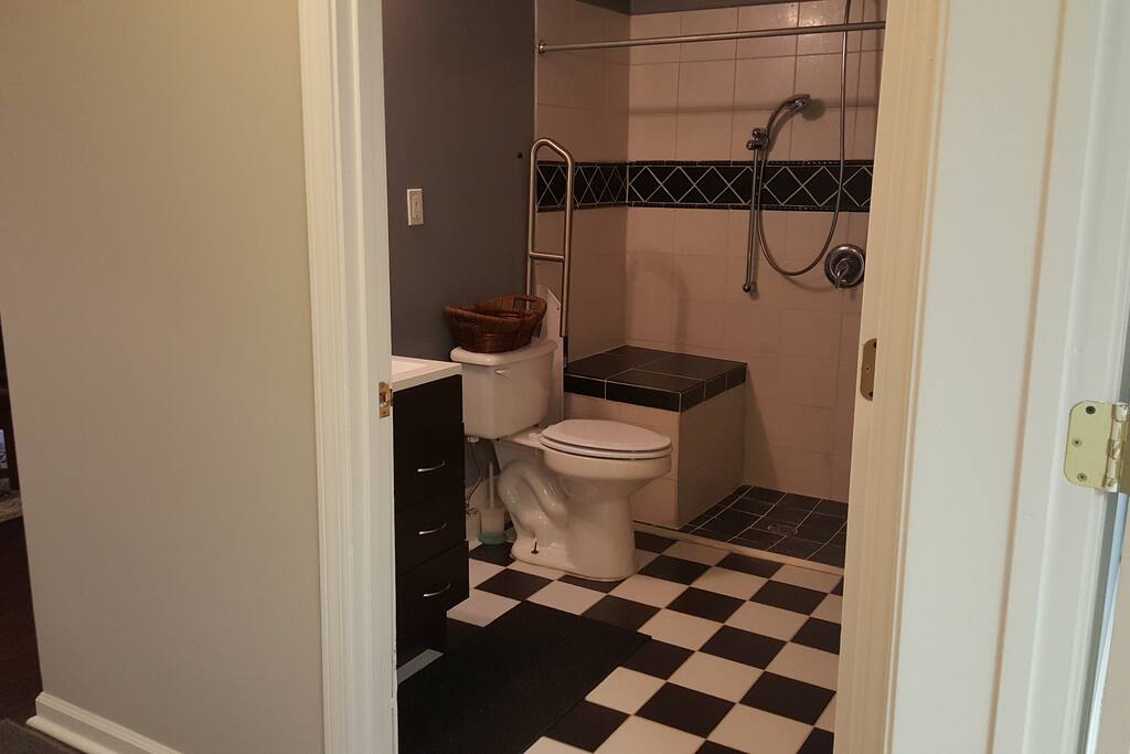 Accessible bathroom with roll in shower