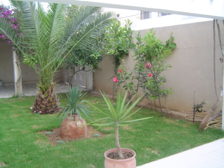 Jardin