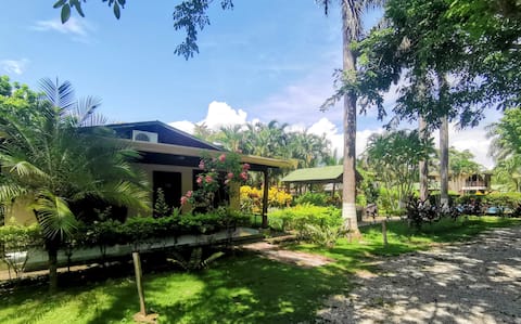 Explore Paradise (Palma Real, cottage)