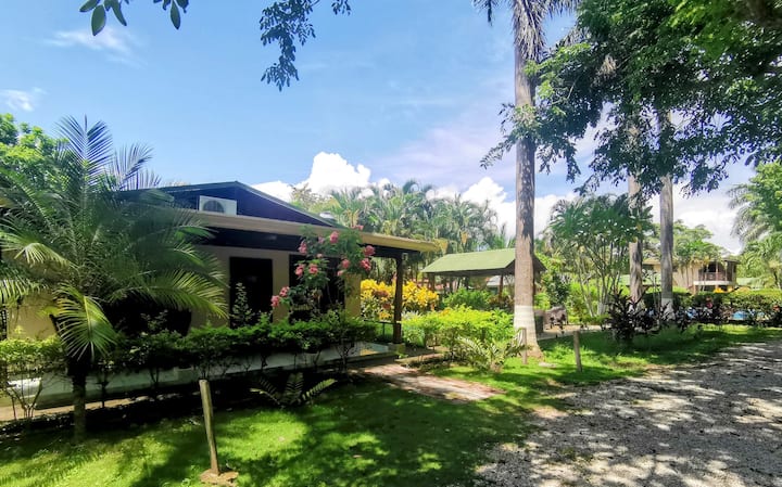Explore Paradise (Palma Real, cottage)
