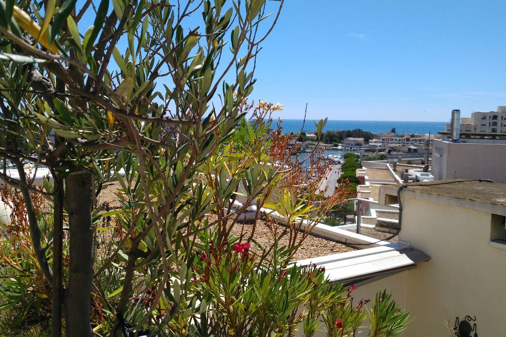 Vue de la terrasse sur le port et la mer