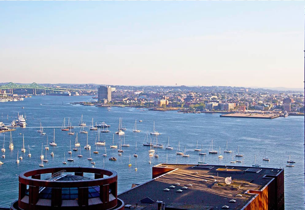 Seaport Neighborhood