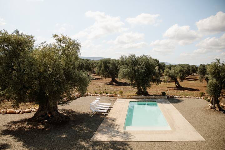 Tenuta Parco Paolino(Lamia+Lamiola)