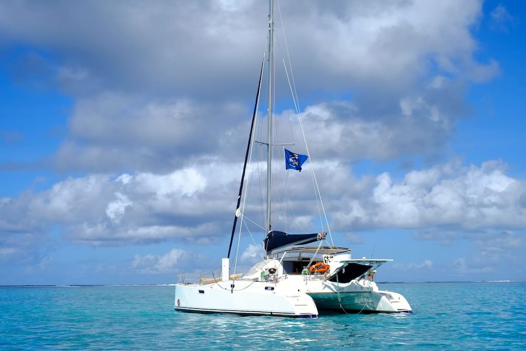 Catamaran 12m