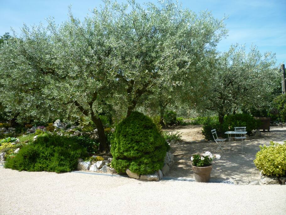 Une petite partie du jardin
