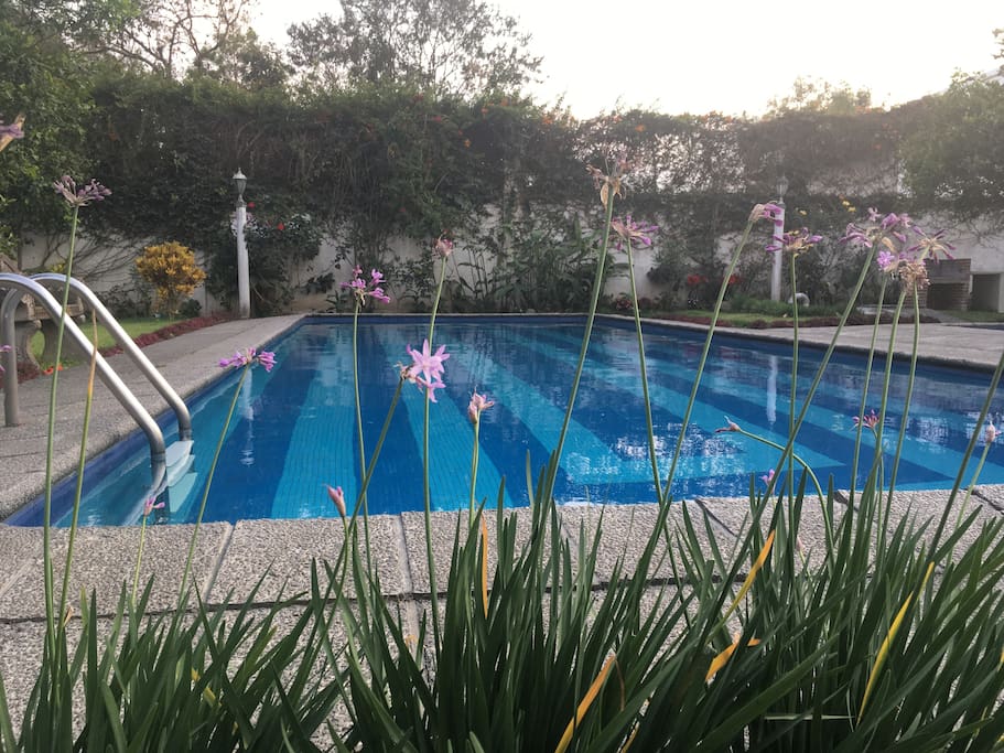 Piscina para Adultos