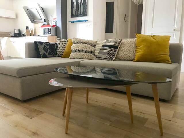 Joli T4 85m2 Climatisé (Air Conditioner) Lyon 6eme