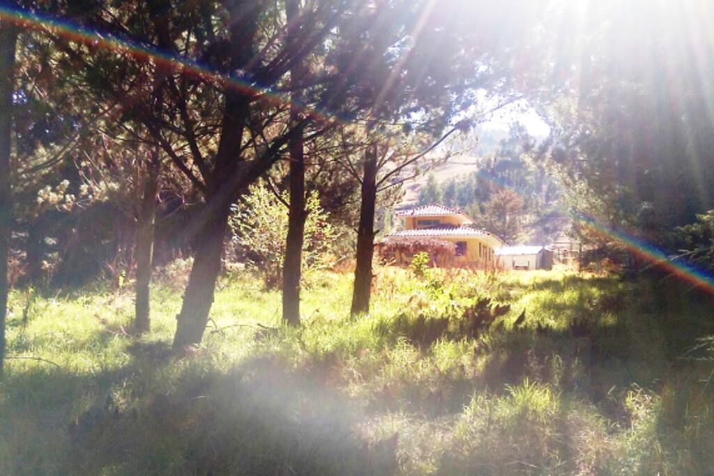 Vista de la casa desde el jardin