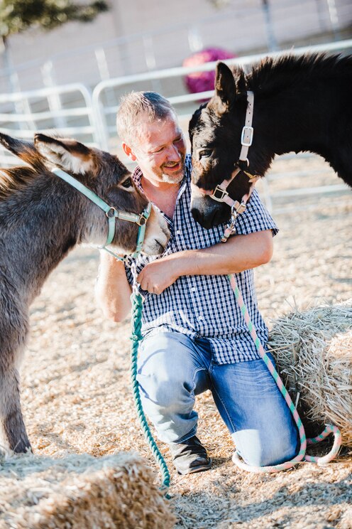 Mostrar imagem fornecida pelo anfitrião em ecrã inteiro