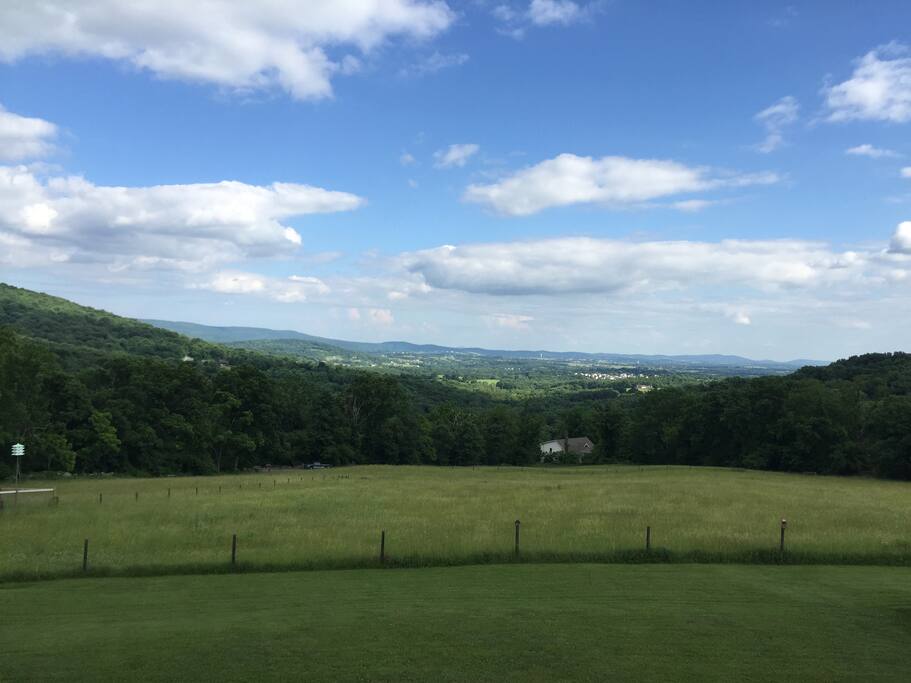Gorgeous Views