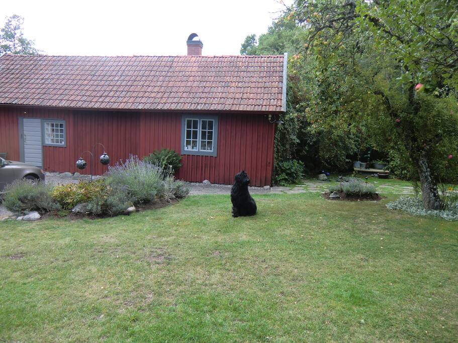 Framsida med gårdens hund.