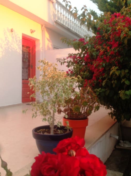 Front Terrace