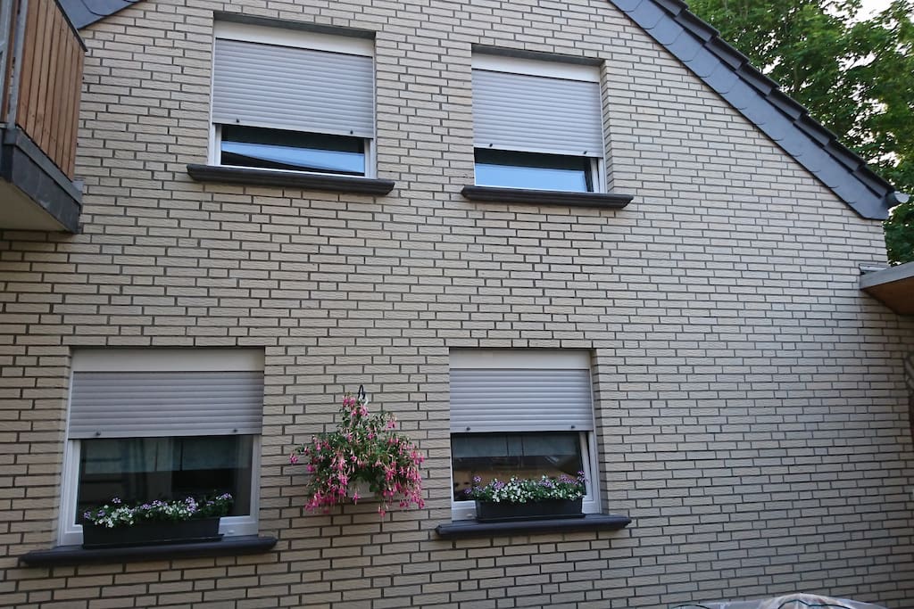 Seitenansicht des Hauses