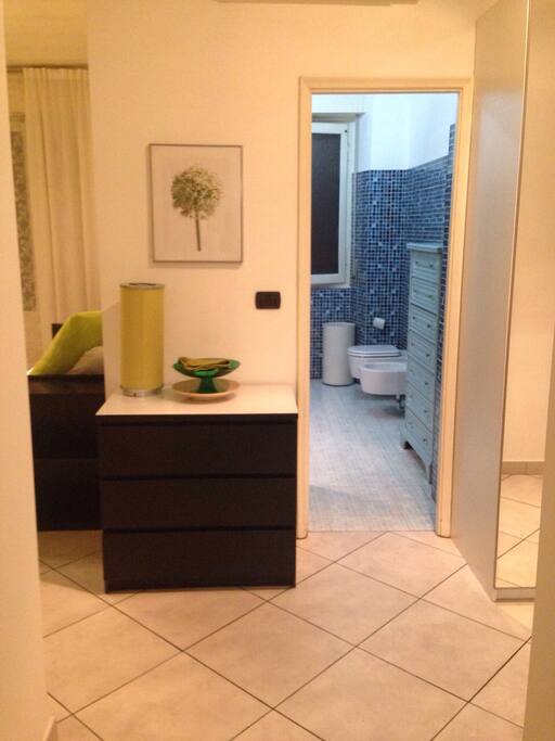 Entrance, Bathroom, and a little bit of living room
