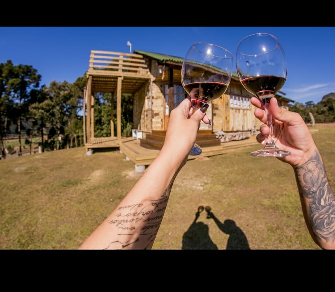 Two individuals hold glasses of red wine against a backdrop of a wooden cabin. The structure is surrounded by grassy terrain and trees, under a clear blue sky. Shadows of the glasses and arms are cast on the ground, creating a sense of celebration.