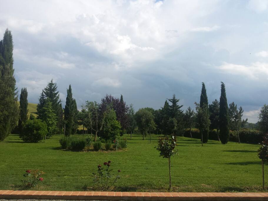 il giardino