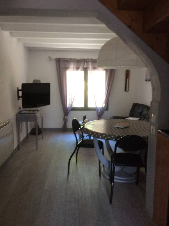 サロン(曖昧さ回避)