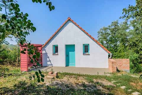 Popular Airbnb listing: Family winery and accommodation Tomáš Zach in Jihomoravský
