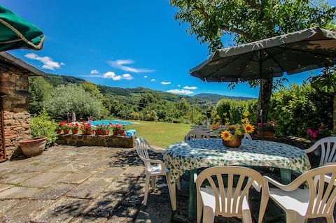 House with private pool near village